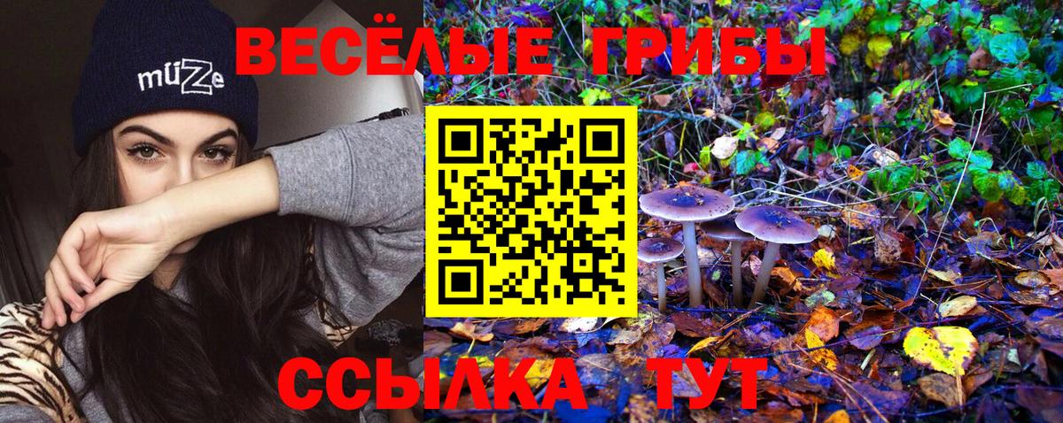 Псилоцибиновые грибы Magic Shrooms  Псилоцибиновые грибы мицелий  Вход с VPN  Ачхой-Мартан 